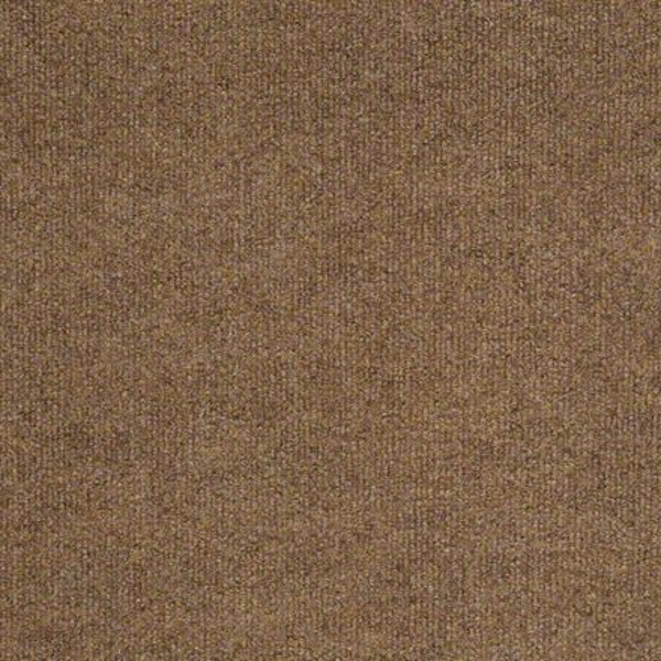 Philadelphia Commercial Windsurf Fawn Shaw