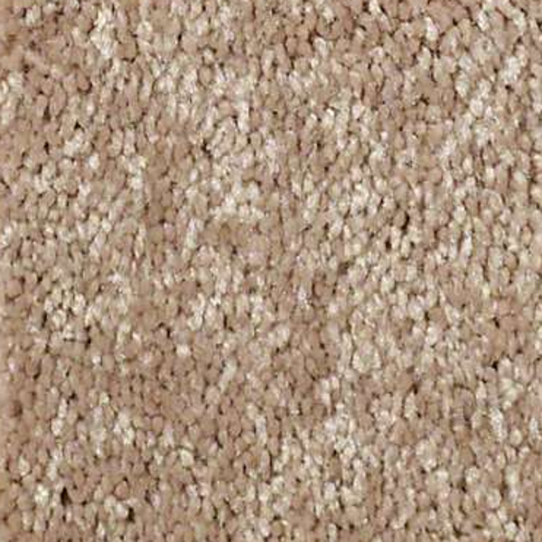 Shaw Floors Well Played I 15 Honey Comb SHAW