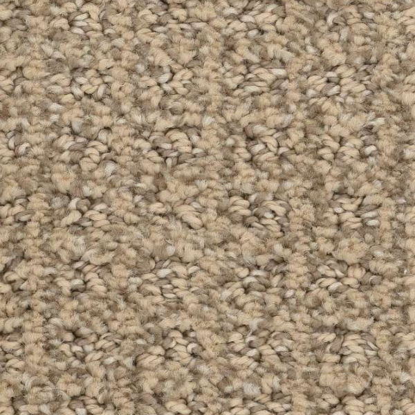 Shaw Floors Stay Fit Honeycomb SHAW