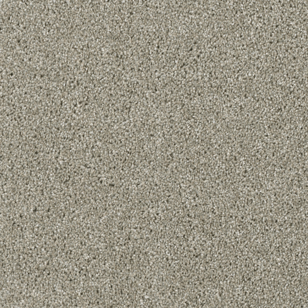 Dreamweaver Carpet Acclaim Jet Stream DREAMWEAVER