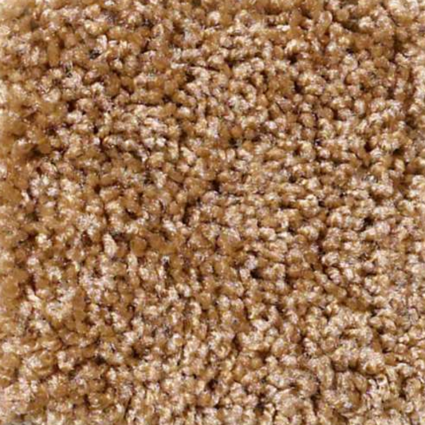 Shaw Floors Dreamin 12' New Cork SHAW