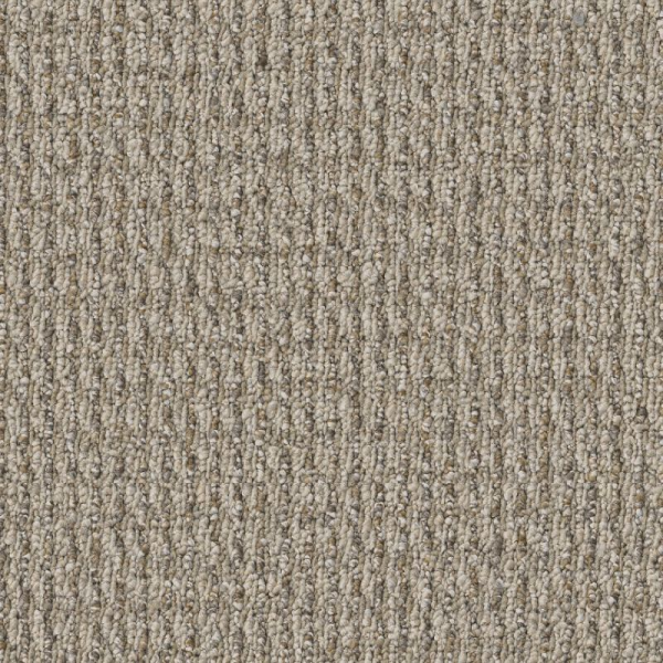 Shaw Floors Prelude Preliminary SHAW