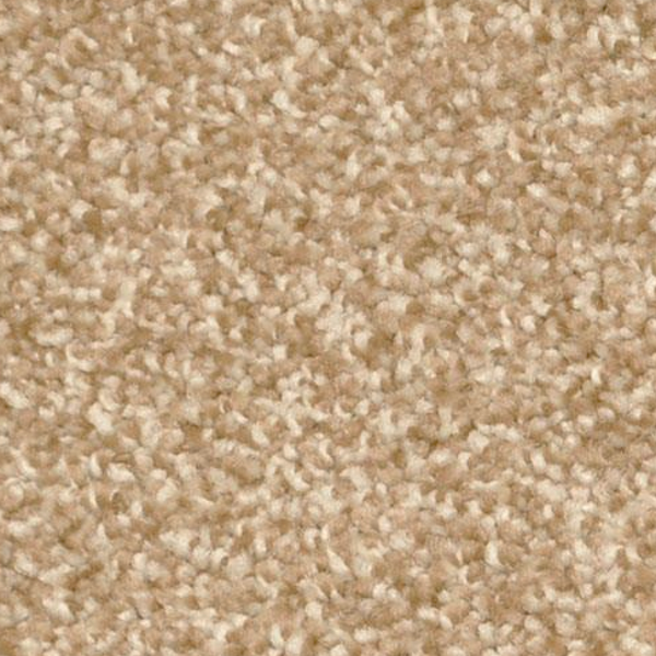 Dixie Home Treasured Moment Etching