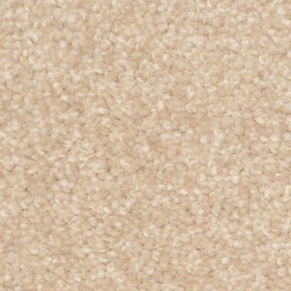 Dixie Home Treasured Moment Safari Bisque