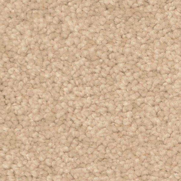 Dixie Home Treasured Moment Dusty Trail