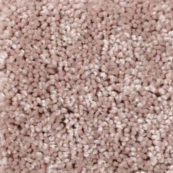 Shaw Floors All Star Weekend III 12' Honeycomb SHAW