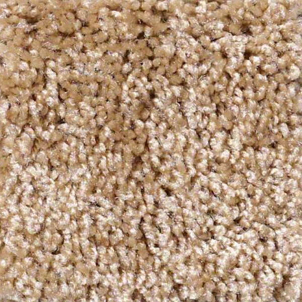 Shaw Floors Dreamin 12' Reed SHAW