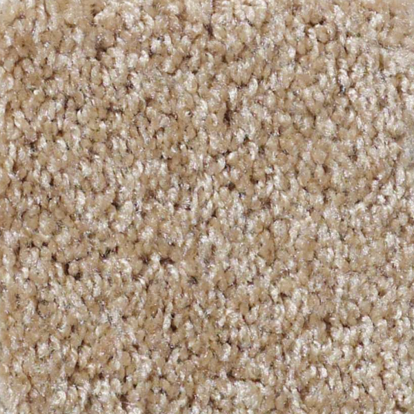 Shaw Floors Parlay Reed SHAW