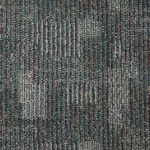 Kraus Commercial Notable Evergreen KRAUS