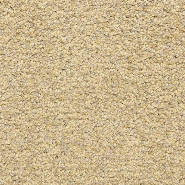 Dixie Home Color Festival Sand Storm