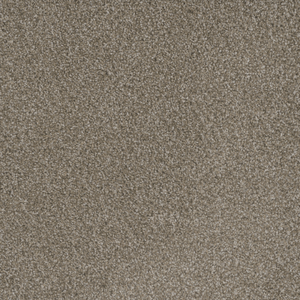 Dreamweaver Carpet Mill Creek II Polished Pebble DREAMWEAVER