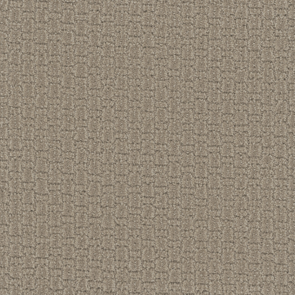 Dreamweaver Carpet Grand Isle Almond Bark DREAMWEAVER