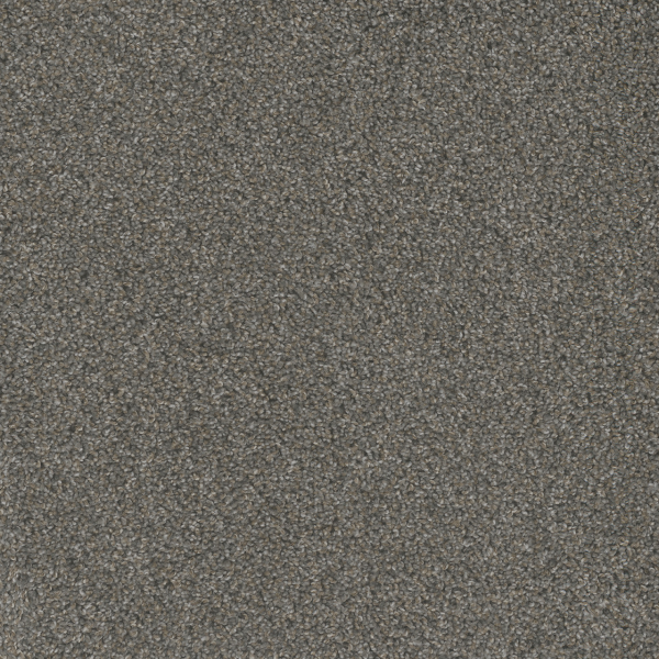 Dreamweaver Carpet Mill Creek I Rain Shadow DREAMWEAVER