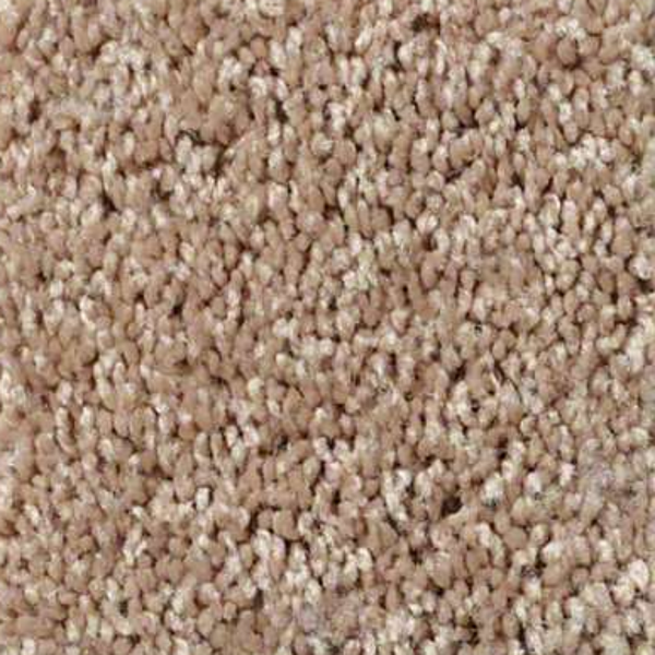 Shaw Floors Fielders Choice 15 Cider SHAW