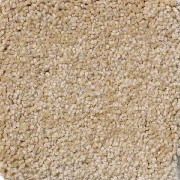 Shaw Floors Ultimate Expression 15' Conrfield SHAW