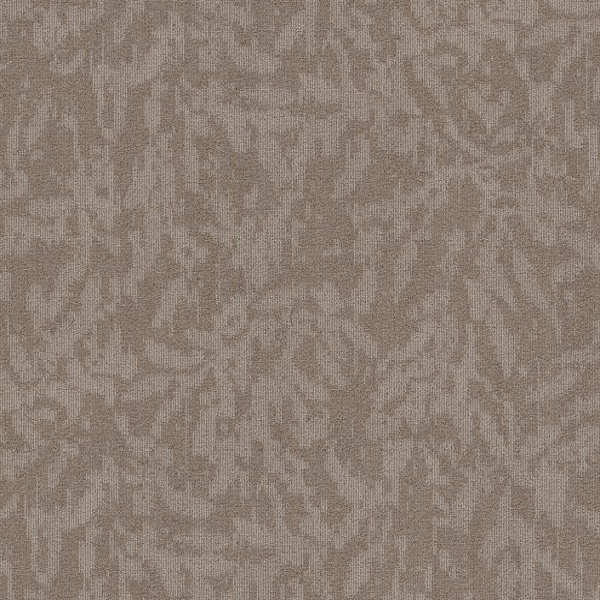 Philadelphia Commercial Modern Heirloom Flaxen Shaw