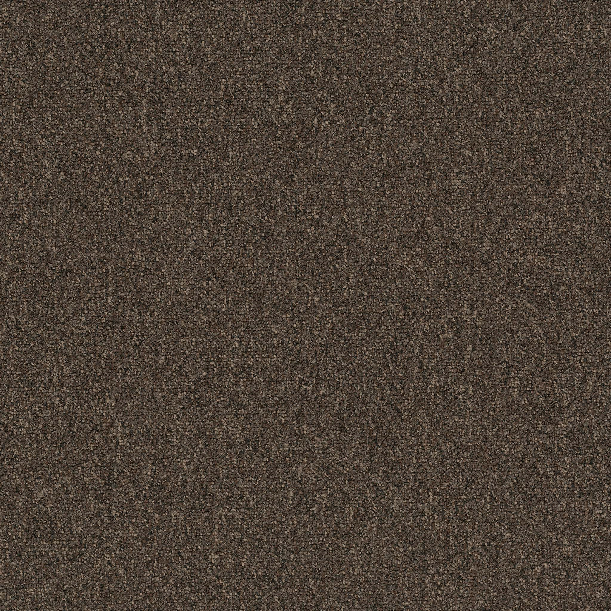 Pentz Commercial Diversified 20 Bizarre ENGINEERED FLOORS