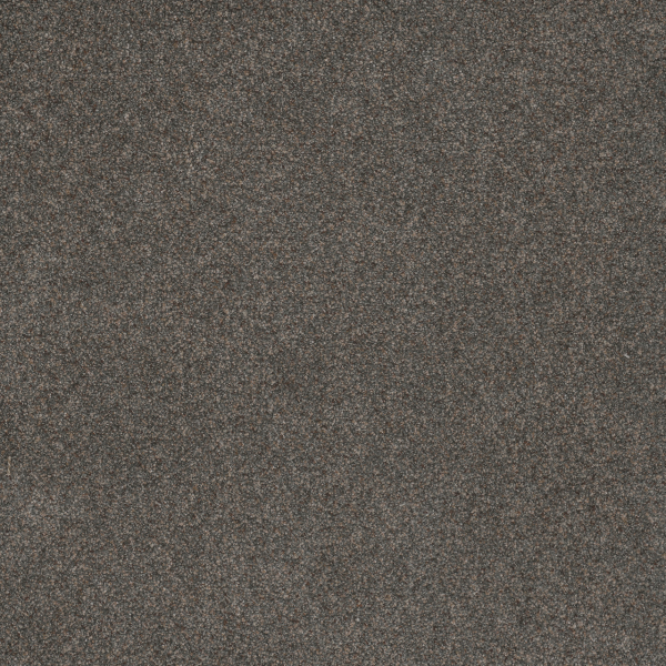 Dreamweaver Carpet Serene II Electric DREAMWEAVER