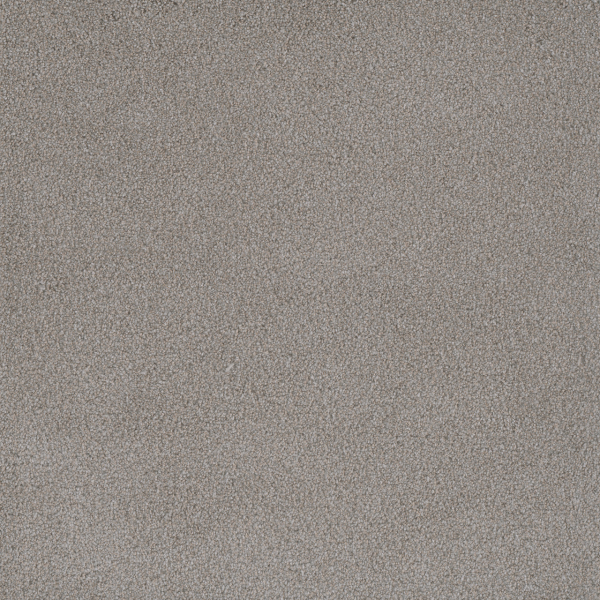 Dreamweaver Carpet Palmetto I Cherry Blossom DREAMWEAVER