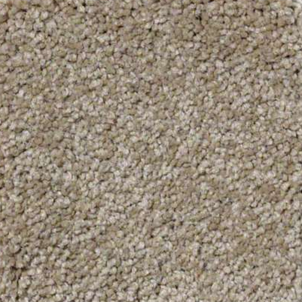 Shaw Floors Ultimate Expression 15' Sahara SHAW