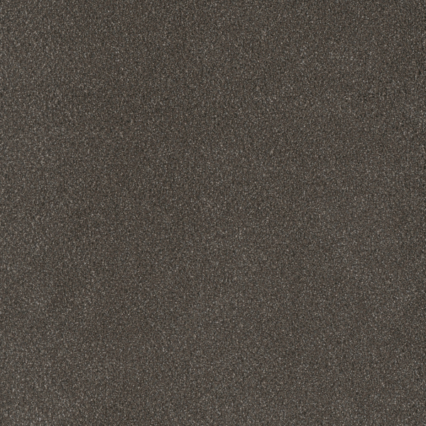 Dreamweaver Carpet Palmetto III Bear Paw DREAMWEAVER