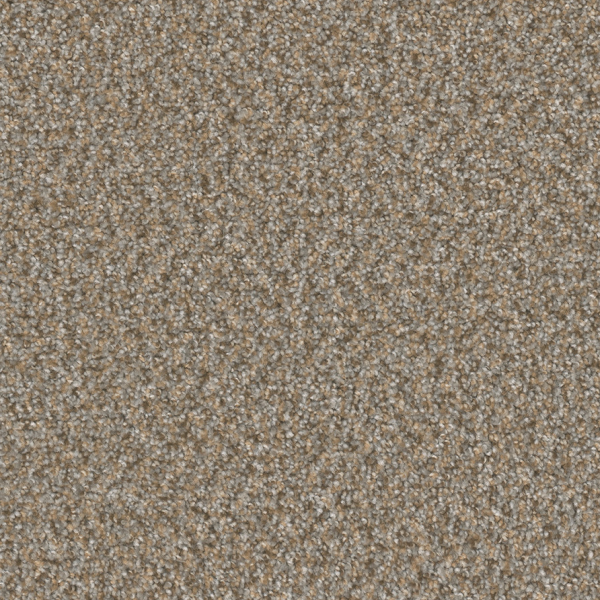 Dreamweaver Carpet Broadcast Plus Siesta DREAMWEAVER