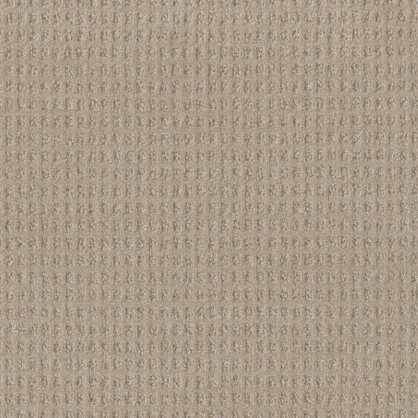 Dreamweaver Carpet Perfect Balance Joyous DREAMWEAVER