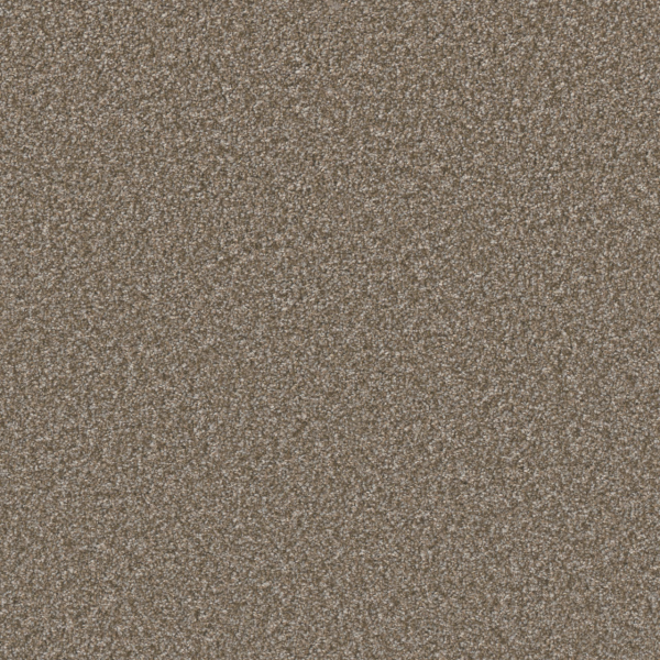 Dreamweaver Carpet Excalibur I Terrestrial DREAMWEAVER