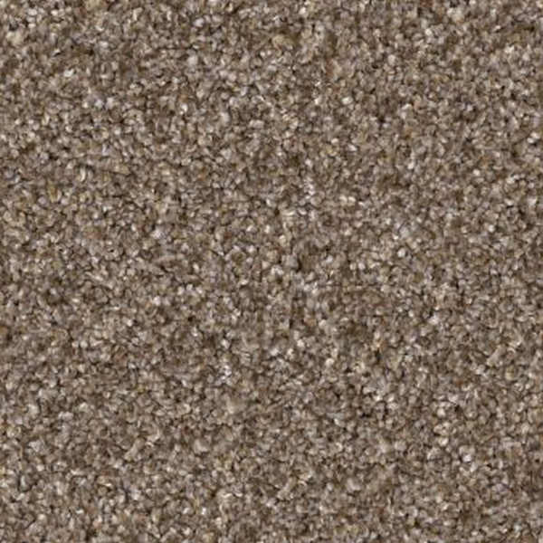 Shaw Floors Yes You Can I 12' Honeycomb SHAW