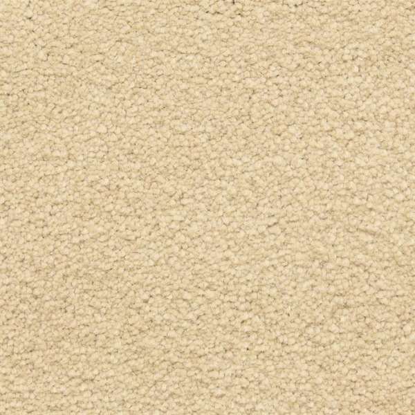 Masland Carpets Ravishing Appealing Masland