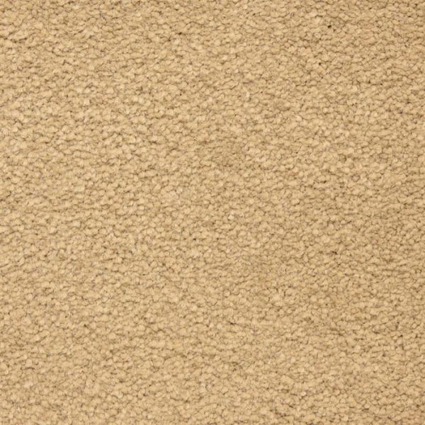 Masland Carpets Ravishing Charming Masland