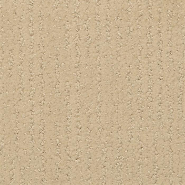 Masland Carpets Nature's Essence Sedge Masland