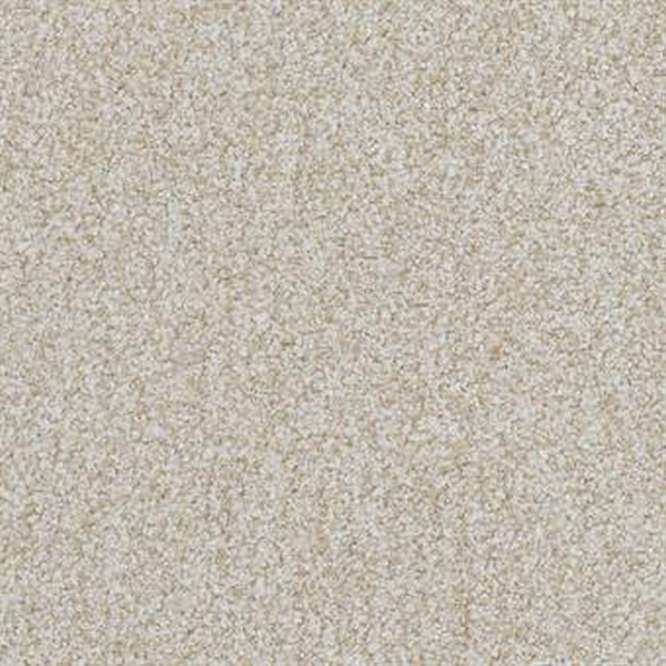 Masland Carpets Boca Raton Everlasting Masland