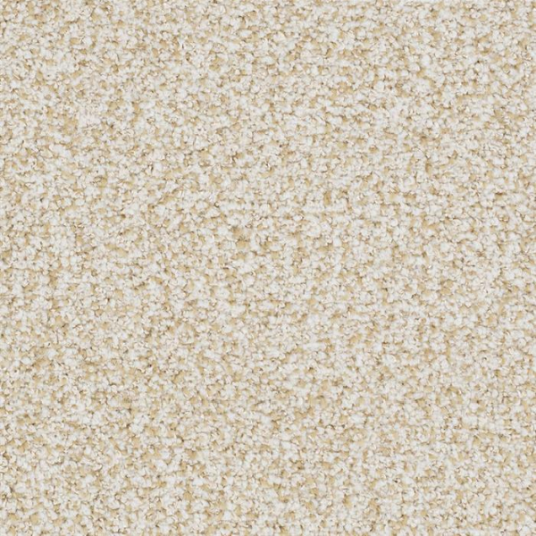 Masland Carpets St Augustine Everlasting Masland