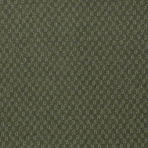 Philadelphia Commercial Elements Pale Forest Shaw