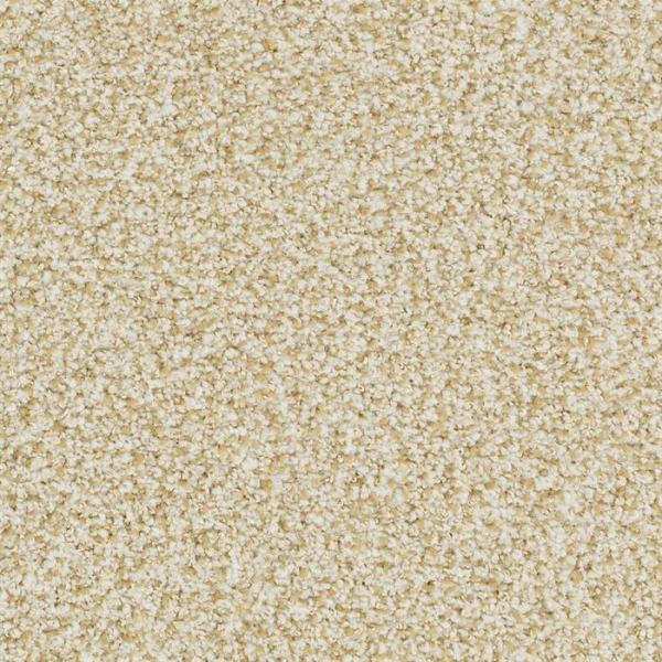 Masland Carpets St Augustine Ageless Masland