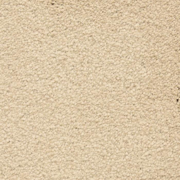 Masland Carpets Ravishing Pleasing Masland