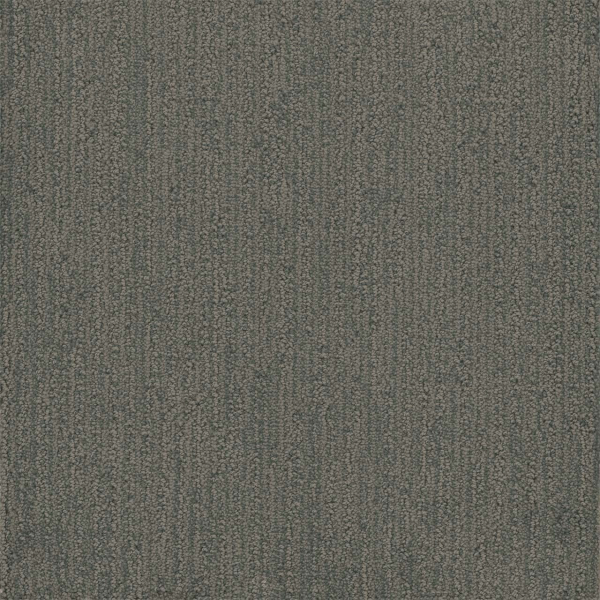 Dreamweaver Carpet Surfside Stonehaven DREAMWEAVER