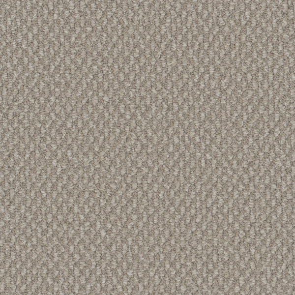 Dreamweaver Carpet Galactic Ivory Coast DREAMWEAVER