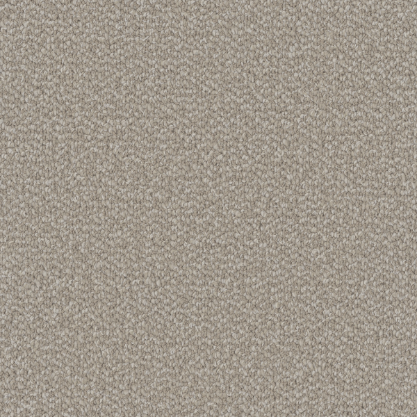 Dreamweaver Carpet Interstellar Ivory Coast DREAMWEAVER