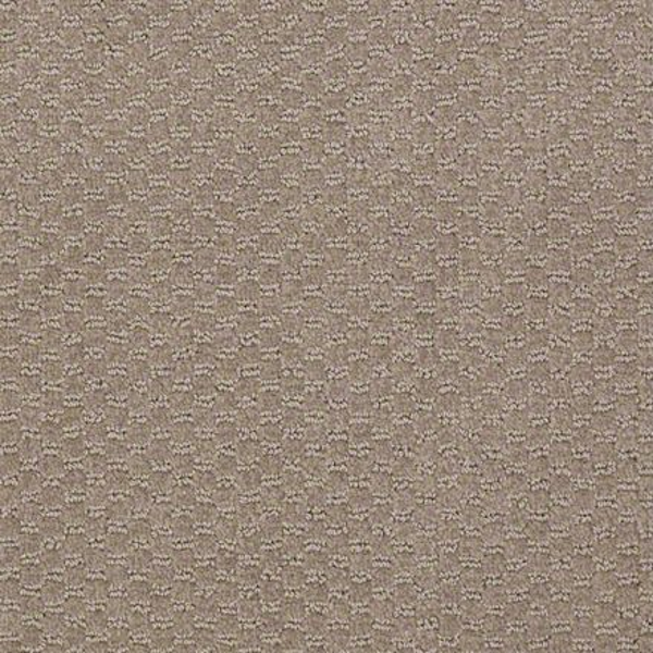 Philadelphia Commercial Elements Granite Shaw