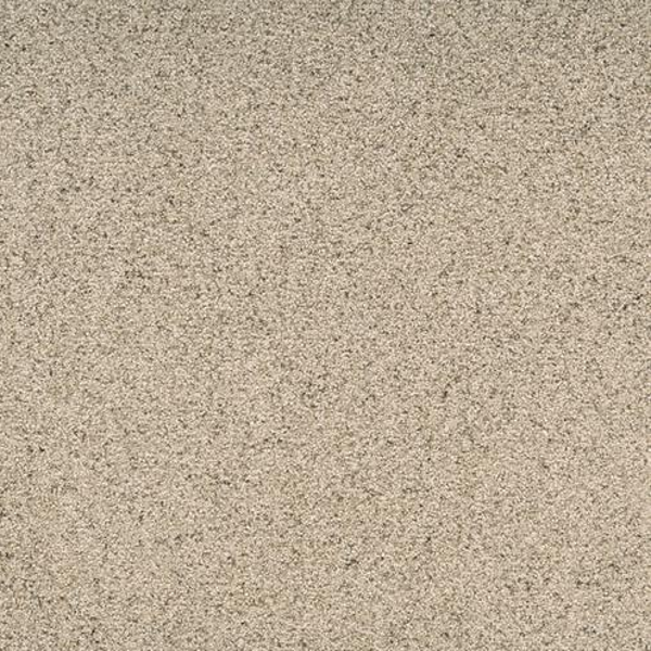 Dixie Home Legit Robust