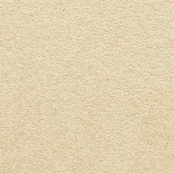 Masland Carpets Knockout Pleasant Masland