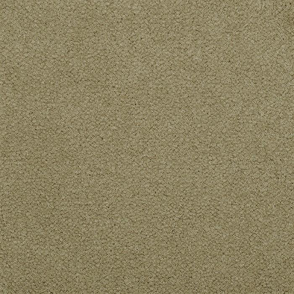 Masland Carpets Panache Alpine Masland