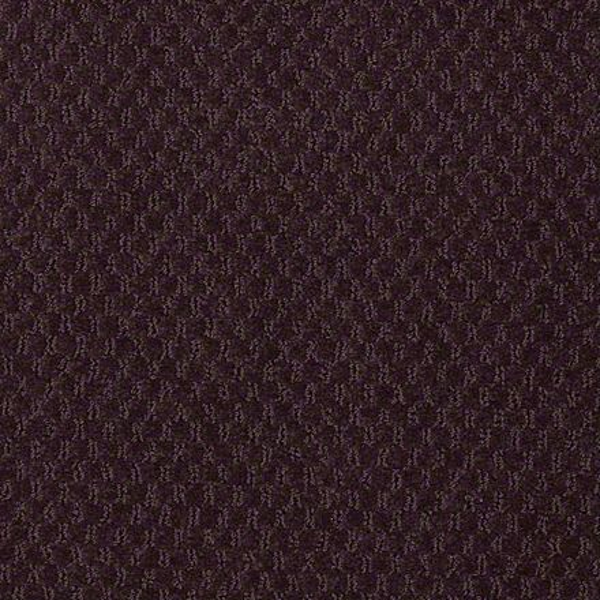 Philadelphia Commercial Elements Plum Nelly Shaw