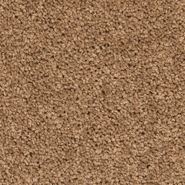 Mohawk Carpet Revive Fowler Mohawk