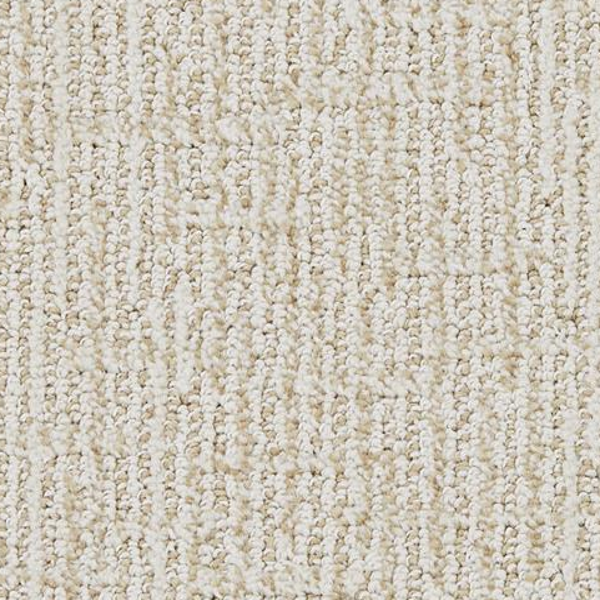 Dixie Home Pop Art Antiquity