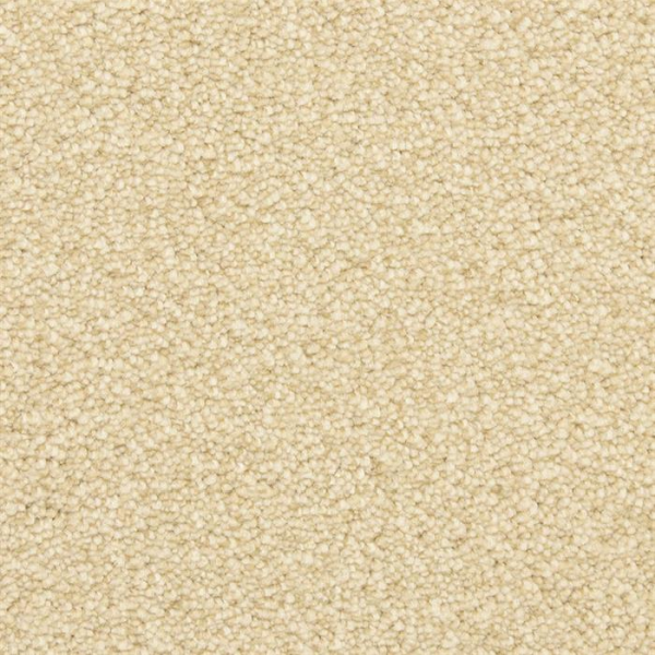 Masland Carpets Staccato Maestro Masland