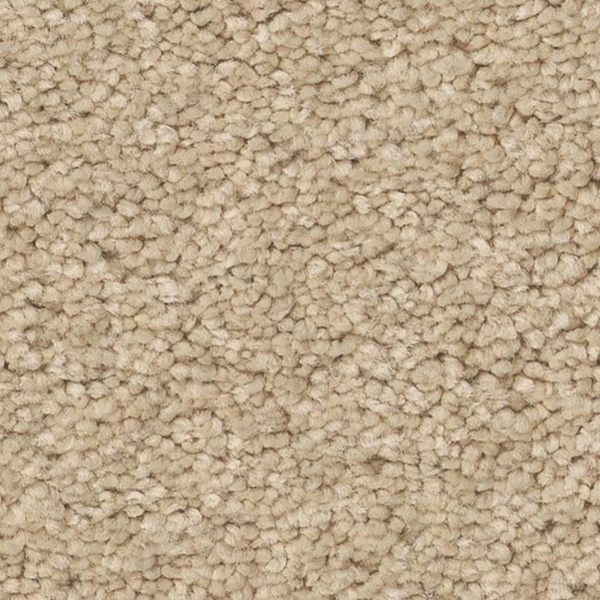 Tuftex Elegant Beauty Papyrus SHAW