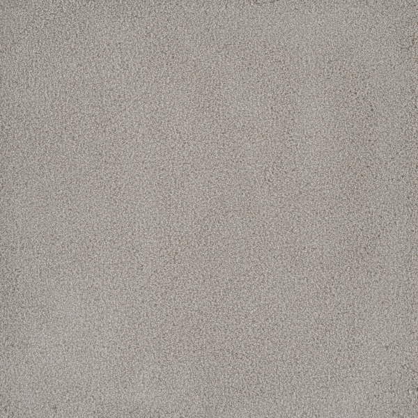 Dreamweaver Carpet Palmetto III Royalty DREAMWEAVER